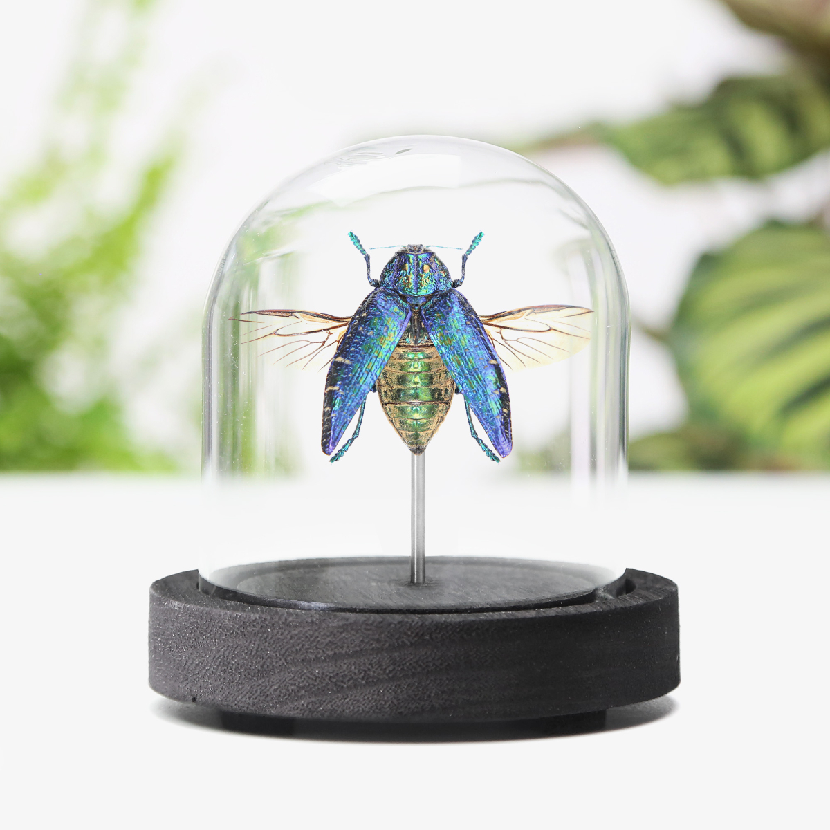 CuratedStudio tweet media