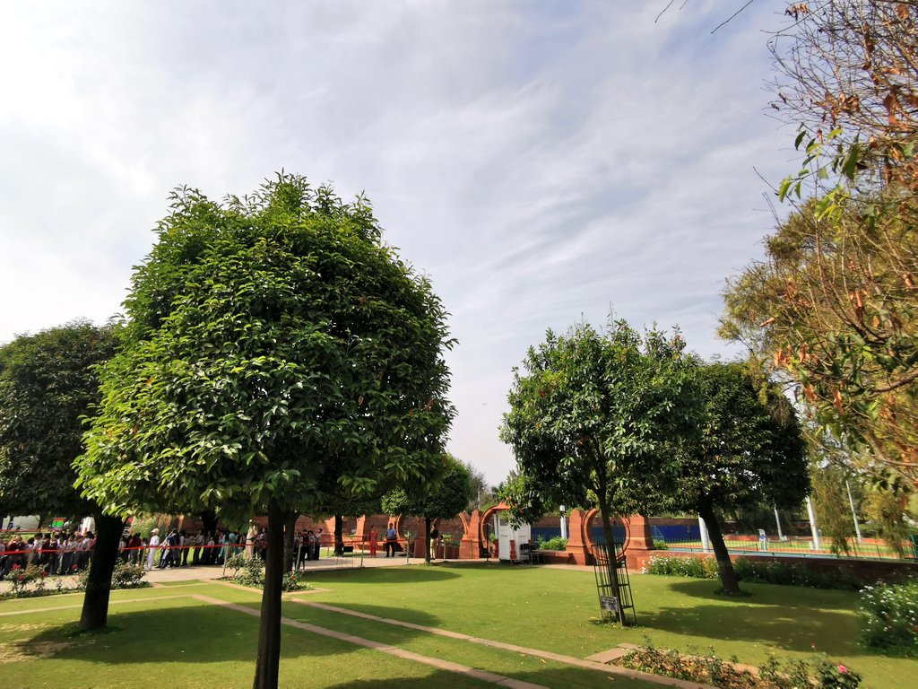Came across a Rudraksh tree in Amrit Udyan at Rastrapati Bhawan!