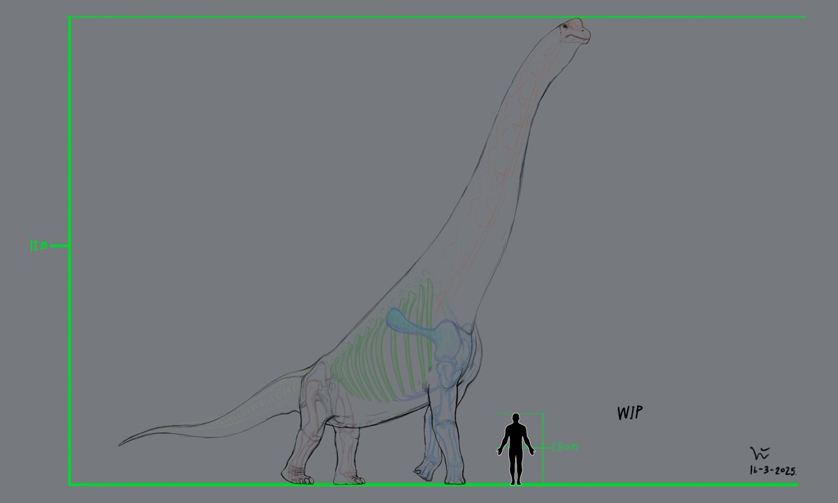 B.altithorax

#paleoart #jurassic