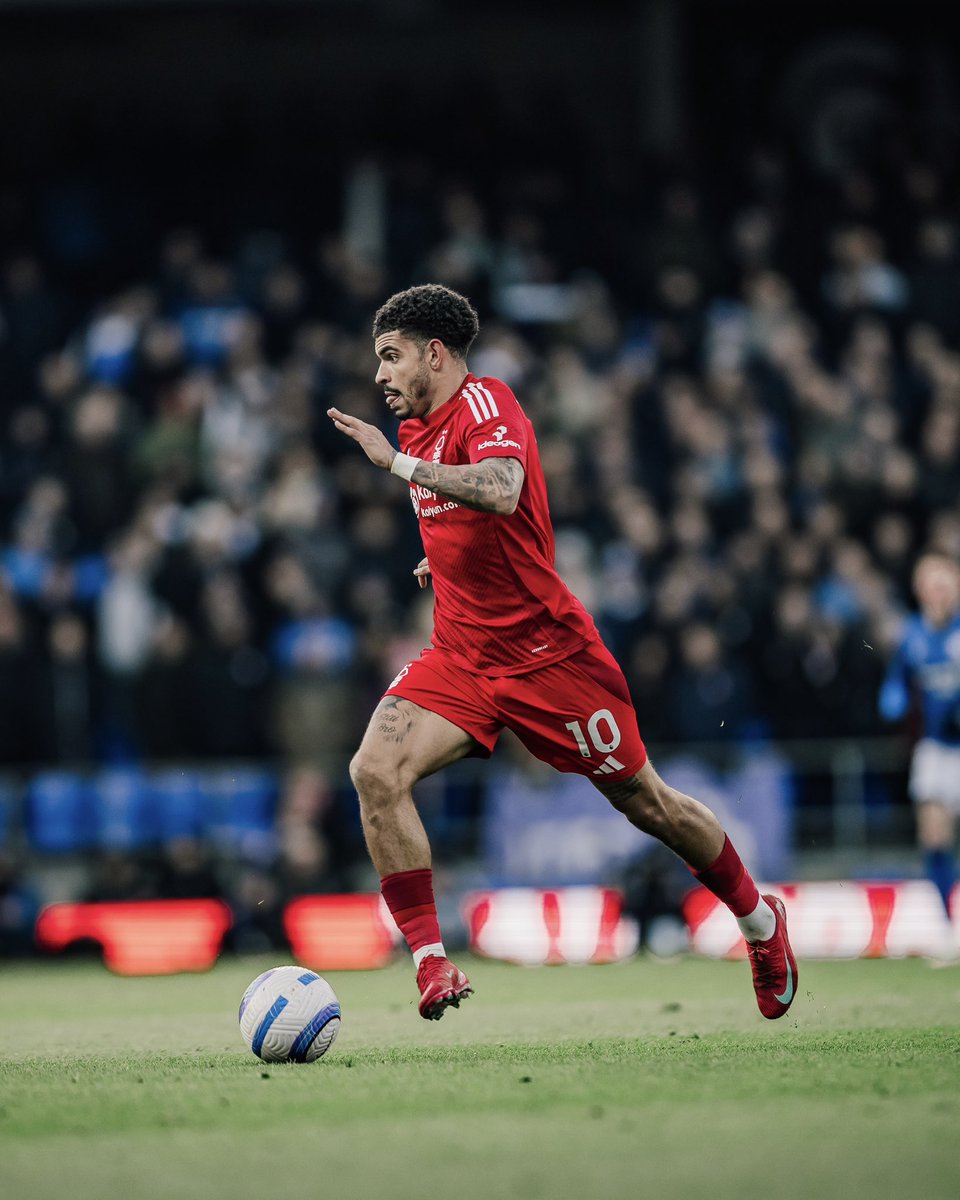 Nottingham Forest tweet media