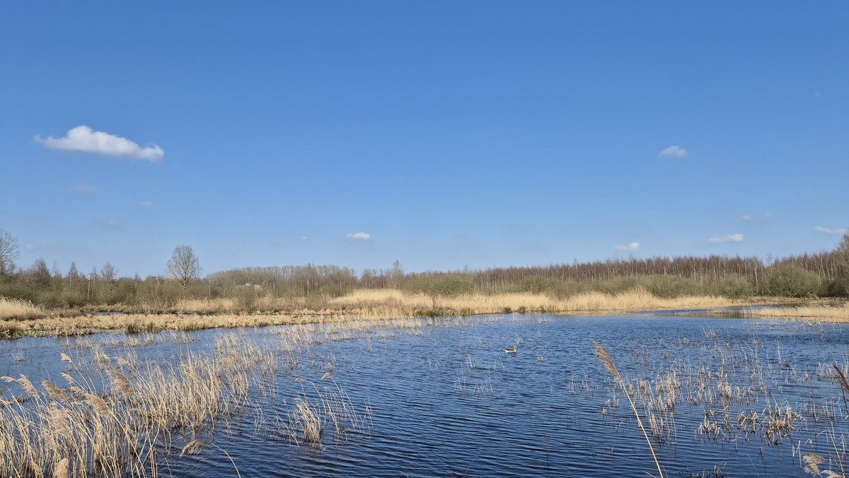 j_winne's tweet photo. 11.50 u. Heusden #vrtweer https://t.co/KgcT6yokrO
