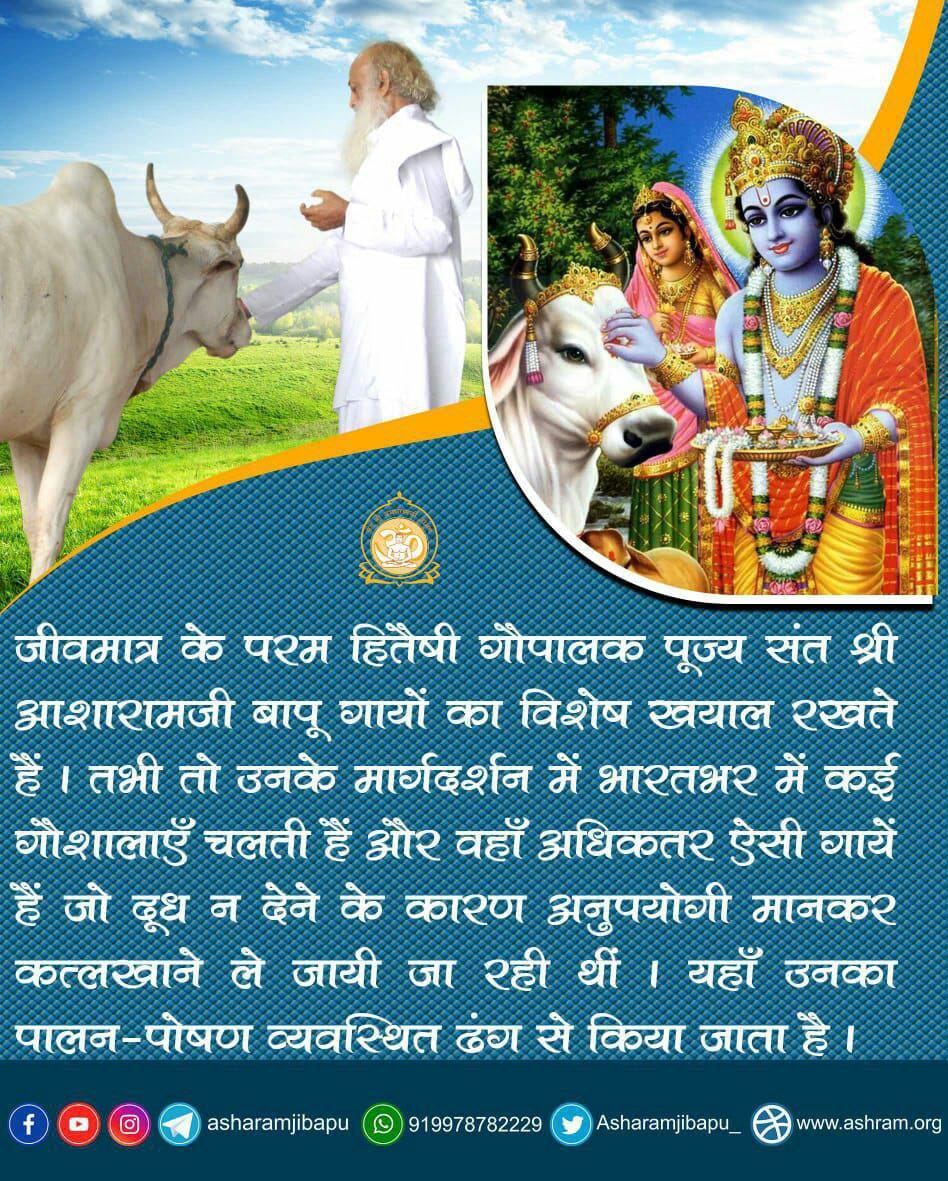 VijayPujari67's tweet photo. @HarioAnandMohan गायें यदि दूध न देती हों तो भी वे परम उपयोगी हैं ।
– Sant Shri Asharamji Bapu
Save Humanity
#StopKillingCows https://t.co/gg12QZj0de