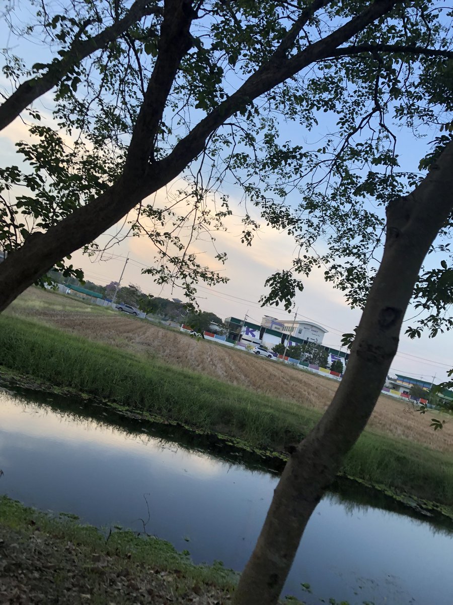 SS PPUUTT tweet media