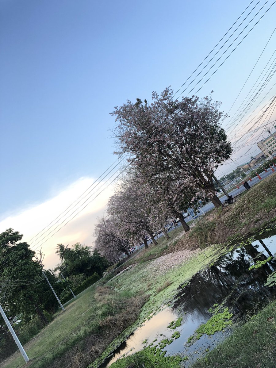 SS PPUUTT tweet media