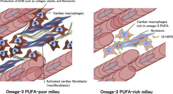 BrandonLuuMD's tweet image. Omega-3 fatty acids reduce inflammation and improve endothelial dysfunction.

A new meta-analysis linked higher omega-3 fatty acid levels in the blood to a 45% lower risk of cardiovascular death.

Lets break it down🧵 1/9