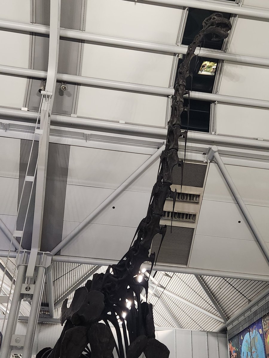 RHersemann@GDC (@loadinglaw) on Twitter photo On my way to the <a href="/Official_GDC/">Game Developers Conference</a> in San Francisco! As is tradition, I must say goodbye to my favorite airport dinosaur for good luck. On my way to the <a href="/Official_GDC/">Game Developers Conference</a> in San Francisco! As is tradition, I must say goodbye to my favorite airport dinosaur for good luck.