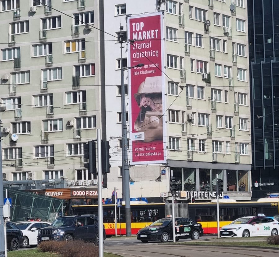 PawelRawicki's tweet image. Sieć Top Market (sklepy np w Warszawie) najpierw zadeklarowała wycofanie jaj klatkowych, a teraz twierdzi, że oni to nic nie mogą w tej sprawie zrobić. Wczoraj zajrzałem do sklepu Top Market i dobre wieści są takie, że dominowały jaja nieklatkowe. Ale wciąż niestety jaja z tej…