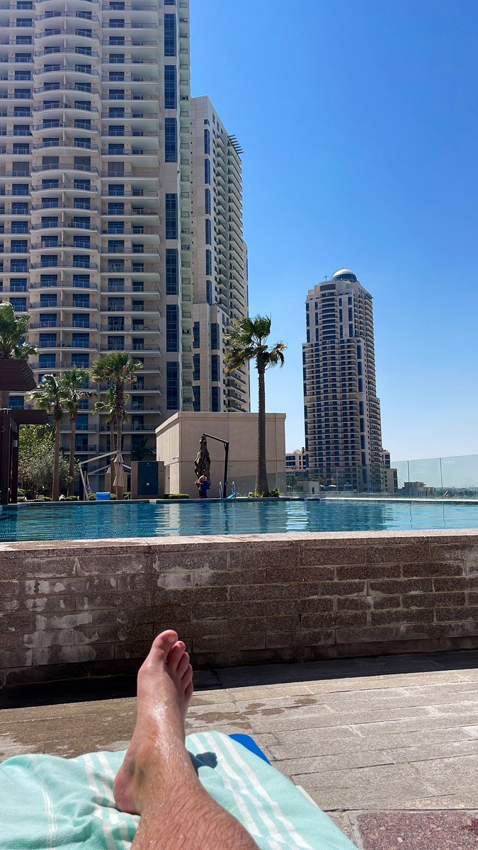 What a day ☀️🐾