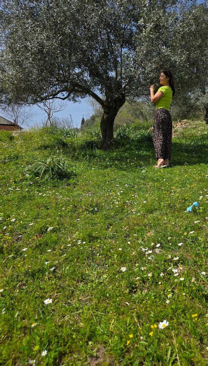 Köye gelindiyse o şalvar giyilecek, o kafa kapatılacak arkadaş...
#köyündelisi #germencik #ortaklar #naipli