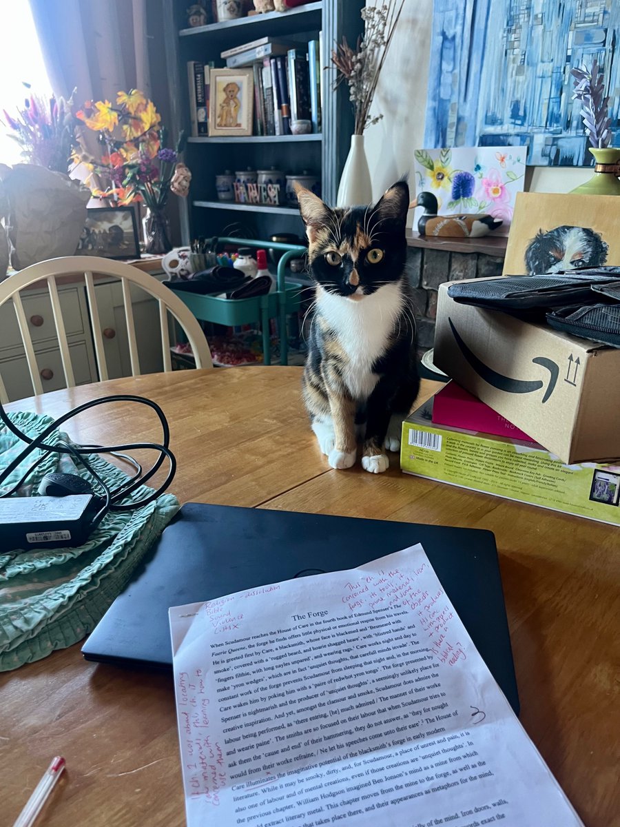 Emily Rowe tweet media