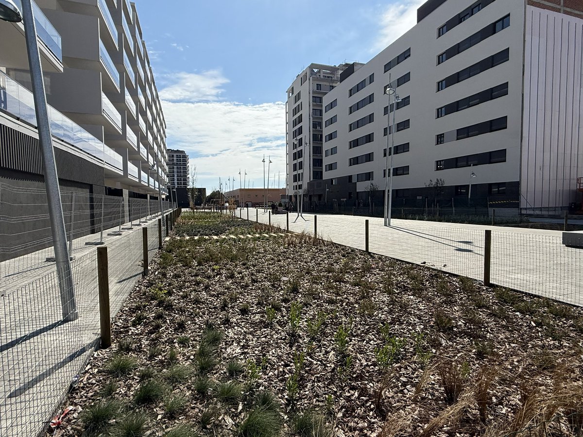 Totbadalona's tweet photo. La infermera, empresària i activista social Rosa Bové, lluitadora dels drets del col·lectiu de persones discapacitades de #Badalona, ja té la placa de la nova plaça que porta el seu nom al barri del Gorg. @badalonadsi https://t.co/bjR12ROQ6b