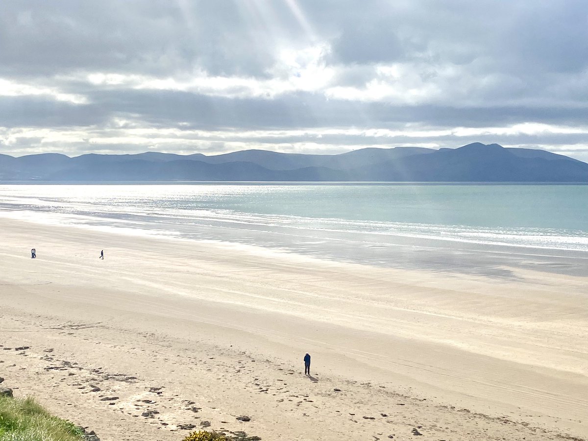 Gaeilge i nDámh an Oideachais CMgS tweet media