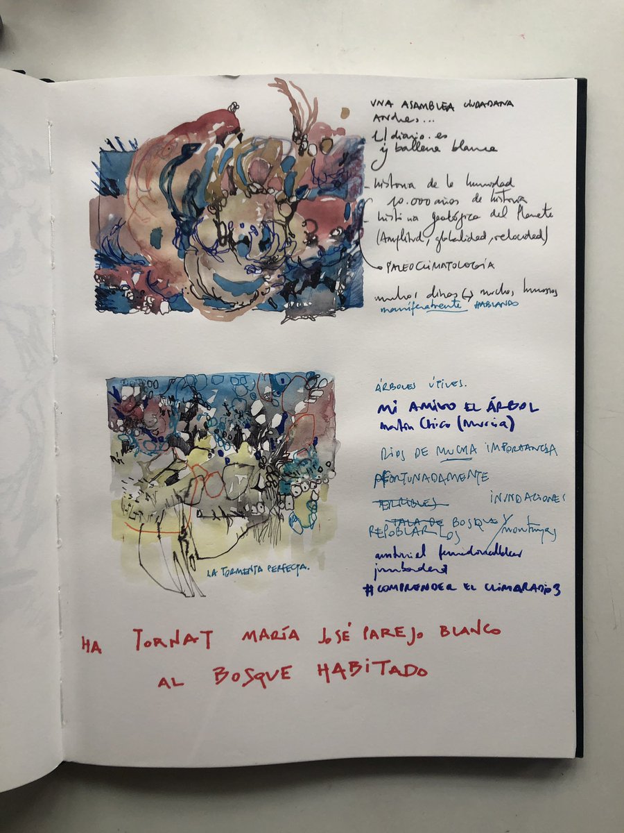 jaumepl's tweet photo. Ha tornat @BosqueHabitado a @radio3_rne avuí #comprenderelclimaradio3 amb @amturiel @FernandoVallada i @JuanBordera . Jo dibuixe, ordene pensaments i prenc notes als meus quaderns refugi https://t.co/IWkWVVhFng