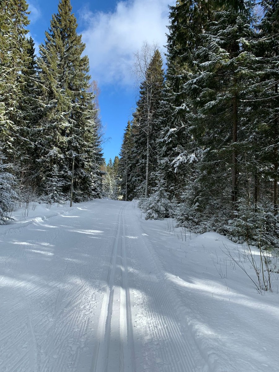 Winter ❄ Koli ☀️