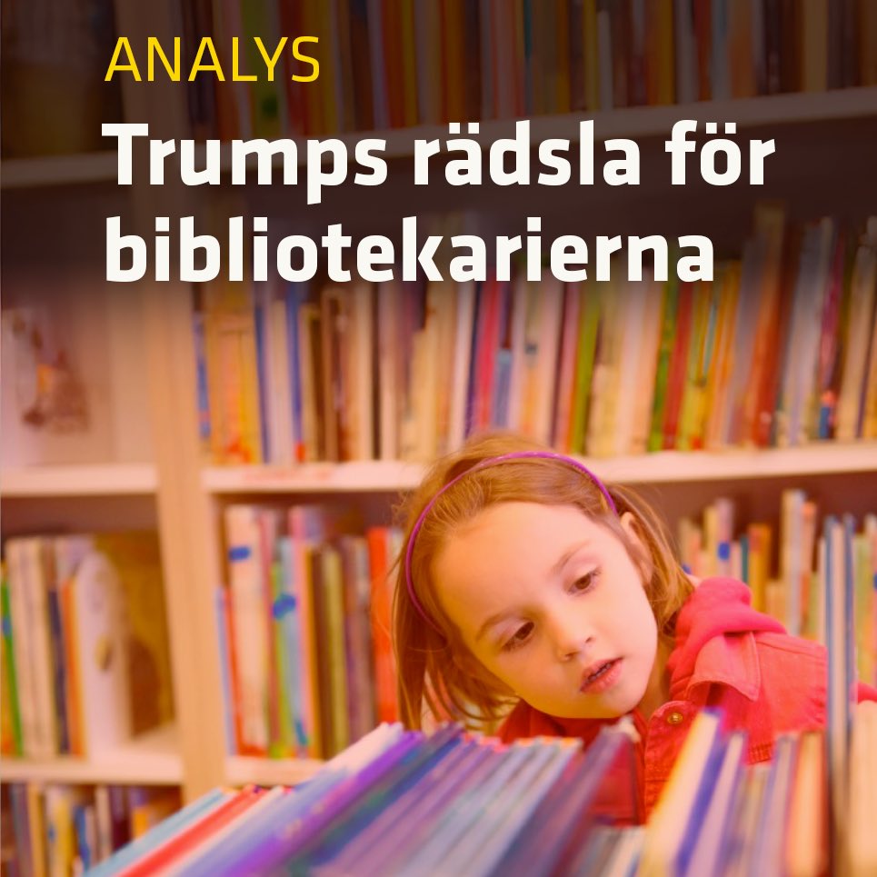 Brit Stakston tweet media