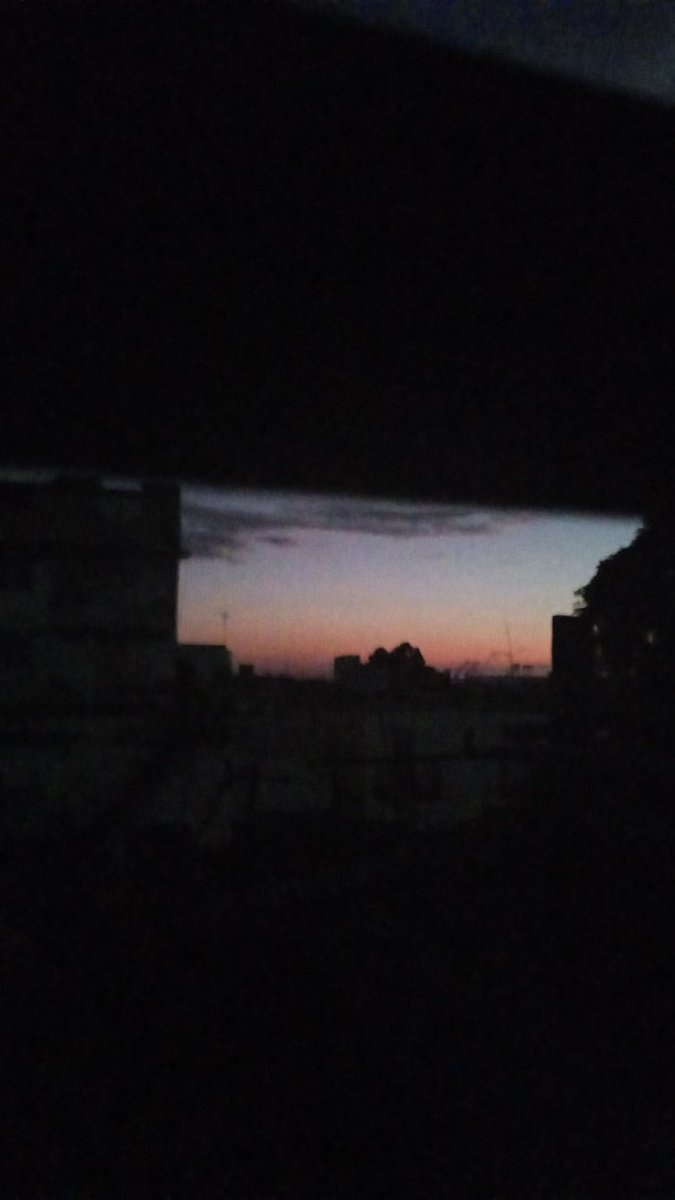 Libia Miranda tweet media