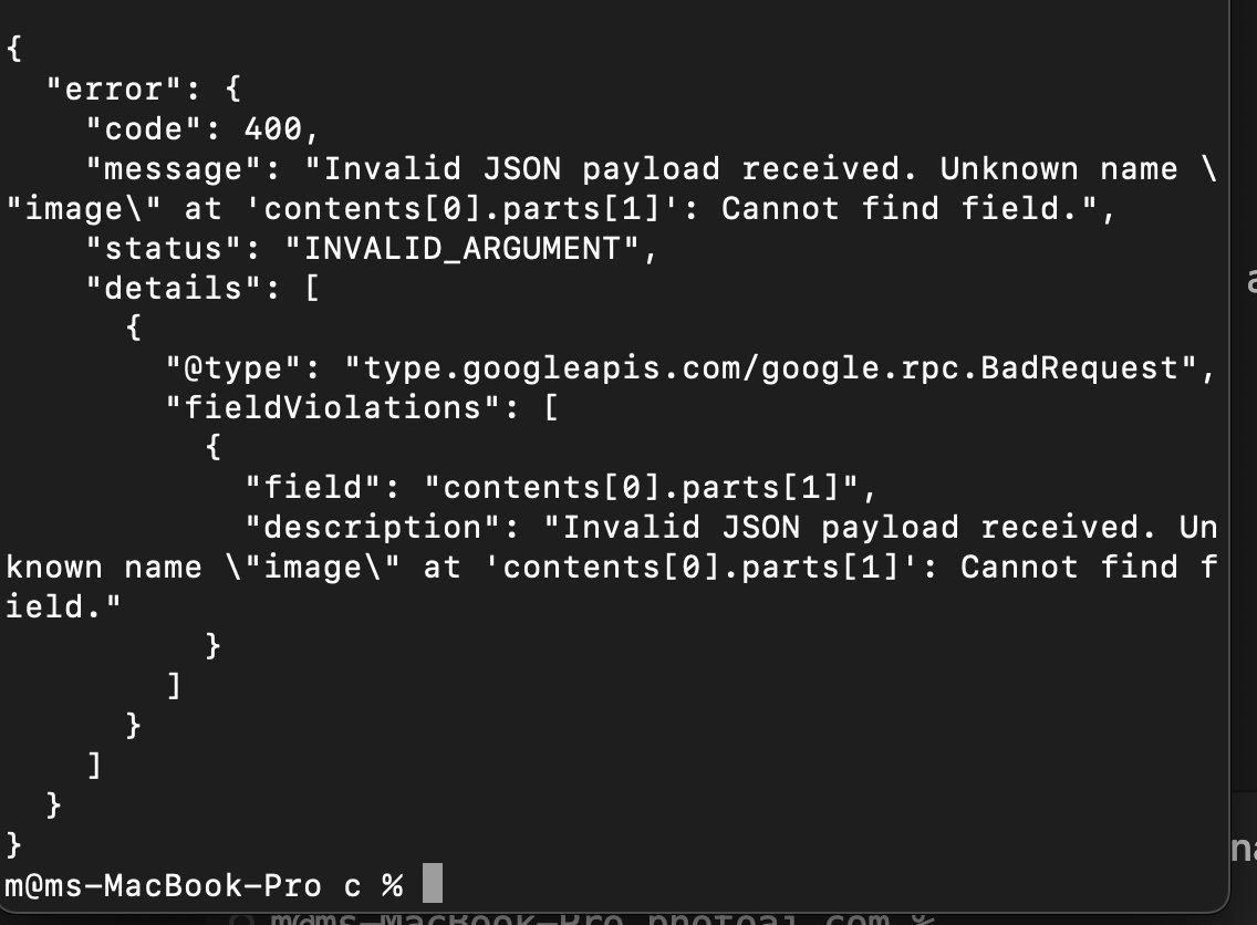 @levelsio tweet media