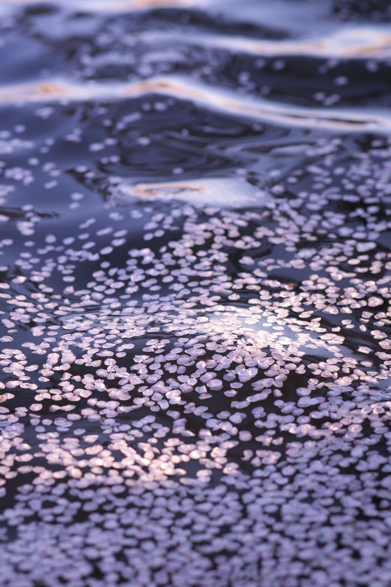 #水面を撮るとその人の個性がわかる