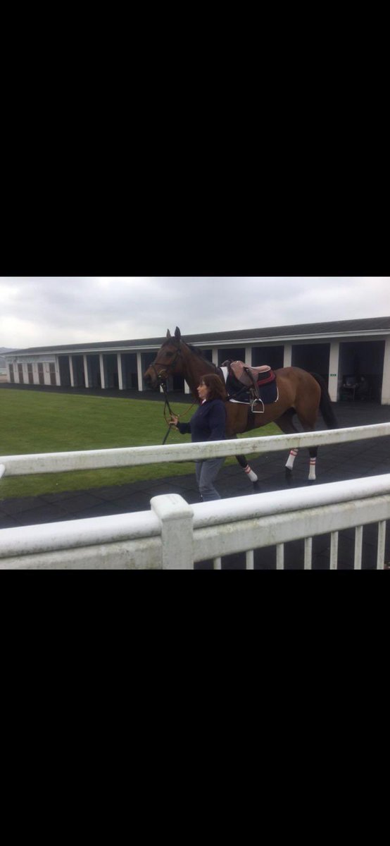 Ffos Las Racecourse (@ffoslasrc) on Twitter photo Massive Congratulations to the team and all concerned with <a href="/jenningsbetinfo/">JenningsBet</a> Midlands Grand National winner Mr Vango <a href="/UttoxeterRaces/">Uttoxeter Racecourse</a> yesterday. Well ridden <a href="/jacktudor9/">jack tudor</a> 🏴 for <a href="/BradstockRacing/">MarkBradstockRacing</a> Sara Bradstock . Sara brought Coneygree for a spin around <a href="/FfosLasRC/">Ffos Las Racecourse</a> once 🏴🏇 Massive Congratulations to the team and all concerned with <a href="/jenningsbetinfo/">JenningsBet</a> Midlands Grand National winner Mr Vango <a href="/UttoxeterRaces/">Uttoxeter Racecourse</a> yesterday. Well ridden <a href="/jacktudor9/">jack tudor</a> 🏴 for <a href="/BradstockRacing/">MarkBradstockRacing</a> Sara Bradstock . Sara brought Coneygree for a spin around <a href="/FfosLasRC/">Ffos Las Racecourse</a> once 🏴🏇