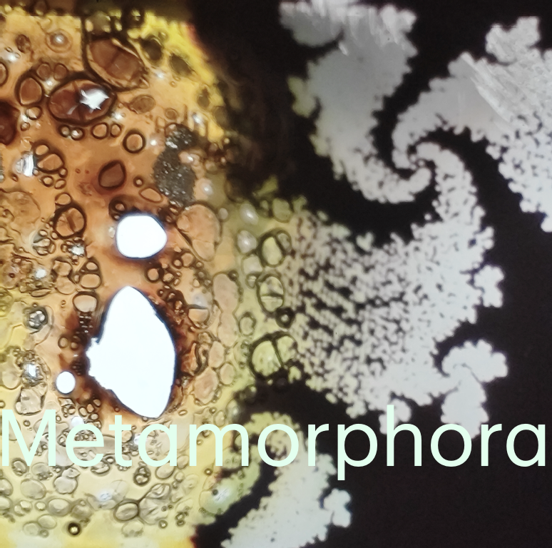 2lm2r's tweet image. Guitarra, sons electrònics i imatges fractals de Clara Garí, processats en temps real.
Guitarra processada i generació de sons i imatges, Josep Manuel Berenguer

Improfest · Santa Mònica · Rambles, 7 · Barcelona
09.04.2025 · 19.00