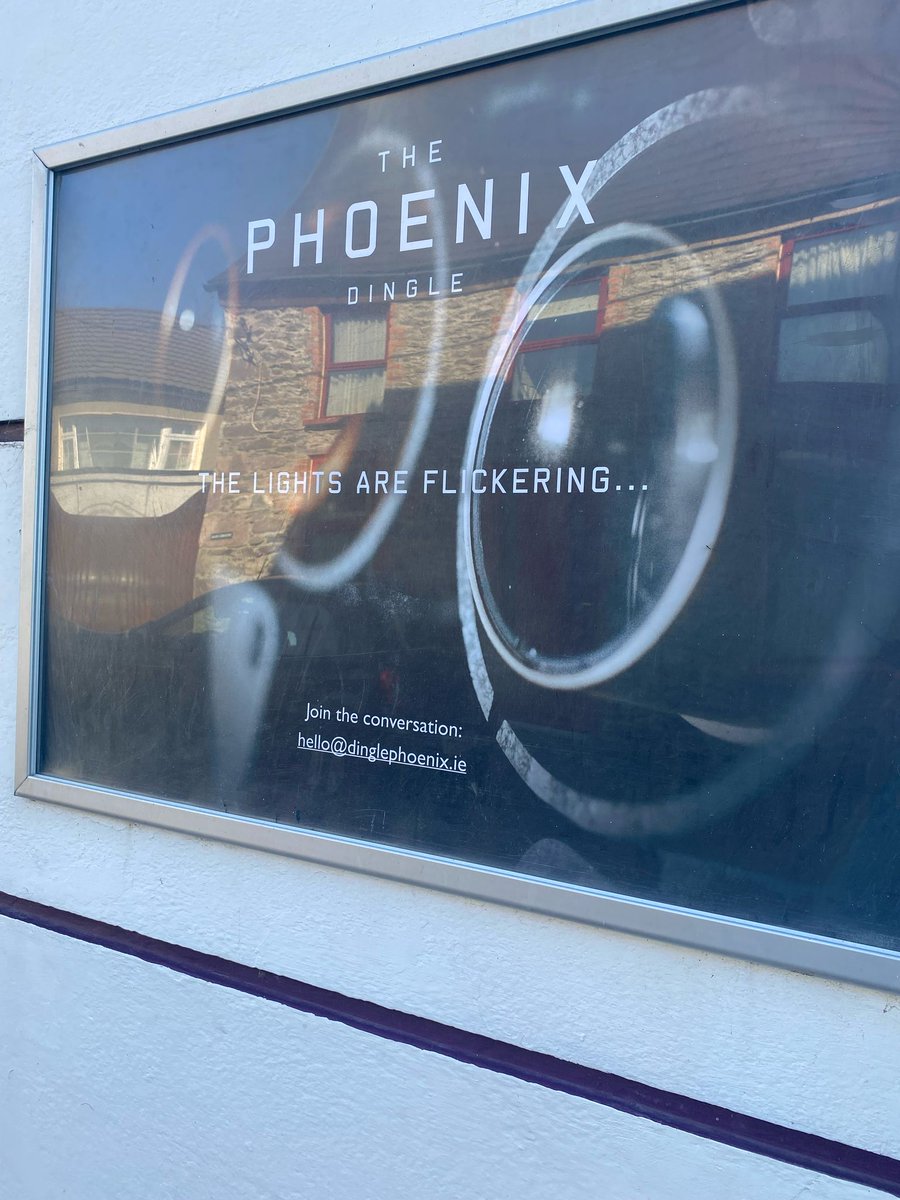 Bringing so much joy in Dingle on this sunny St Patrick's weekend 🍀 #dinglephoenix #irishfilm