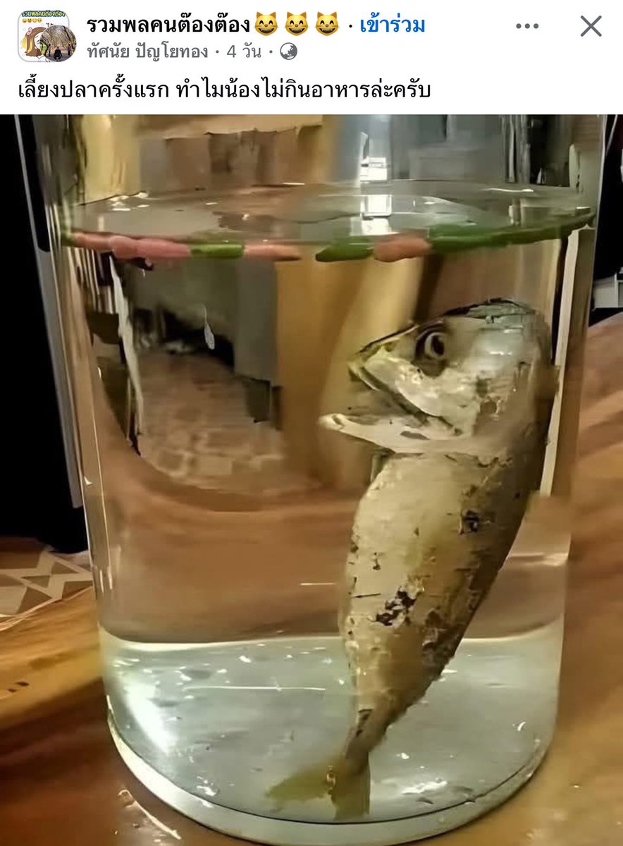 ชอบขำกับอะไรแบบนี้5555555555555555555