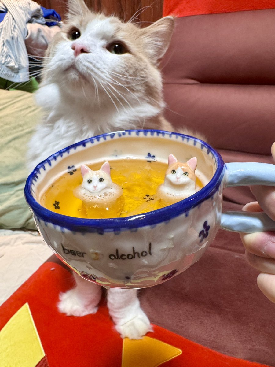 yukke_SAKE's tweet photo. わが家の猫マグカップ作ってもらったけど罪悪感でビールこれ以上注げない... https://t.co/qfEVDHUJ7W