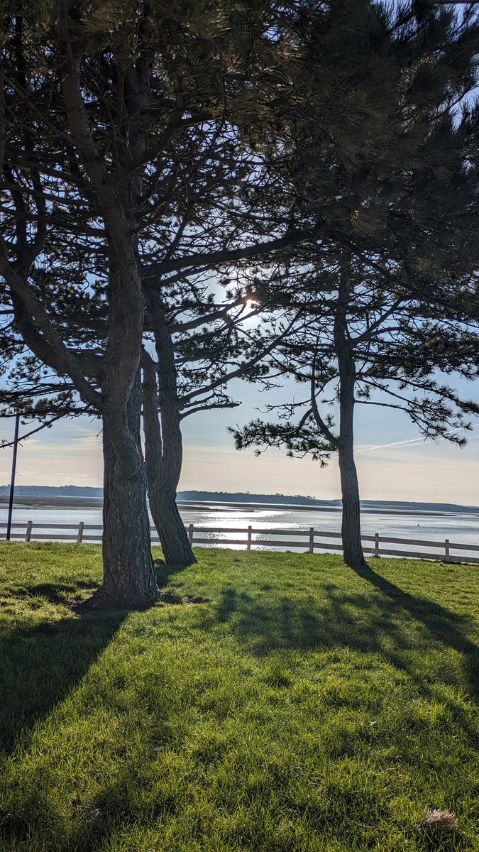PipaMina80's tweet image. On n'est pas trop mal ici ! (suite) 
La vie tranquille ... en Somme ! 

#LeCrotoy
#BaiedeSomme 
#Somme
#Picardie
#HautsdeFrance 
#profiterdechaqueinstant 
#prendresontemps 
#leschosessimples 
#LavietranquilleenSomme