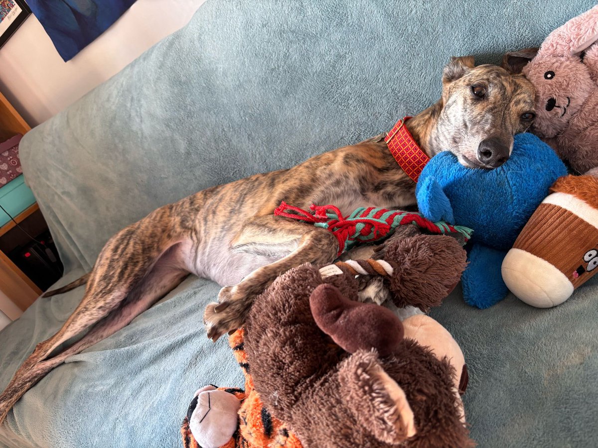 Nope, not spoilt at all.