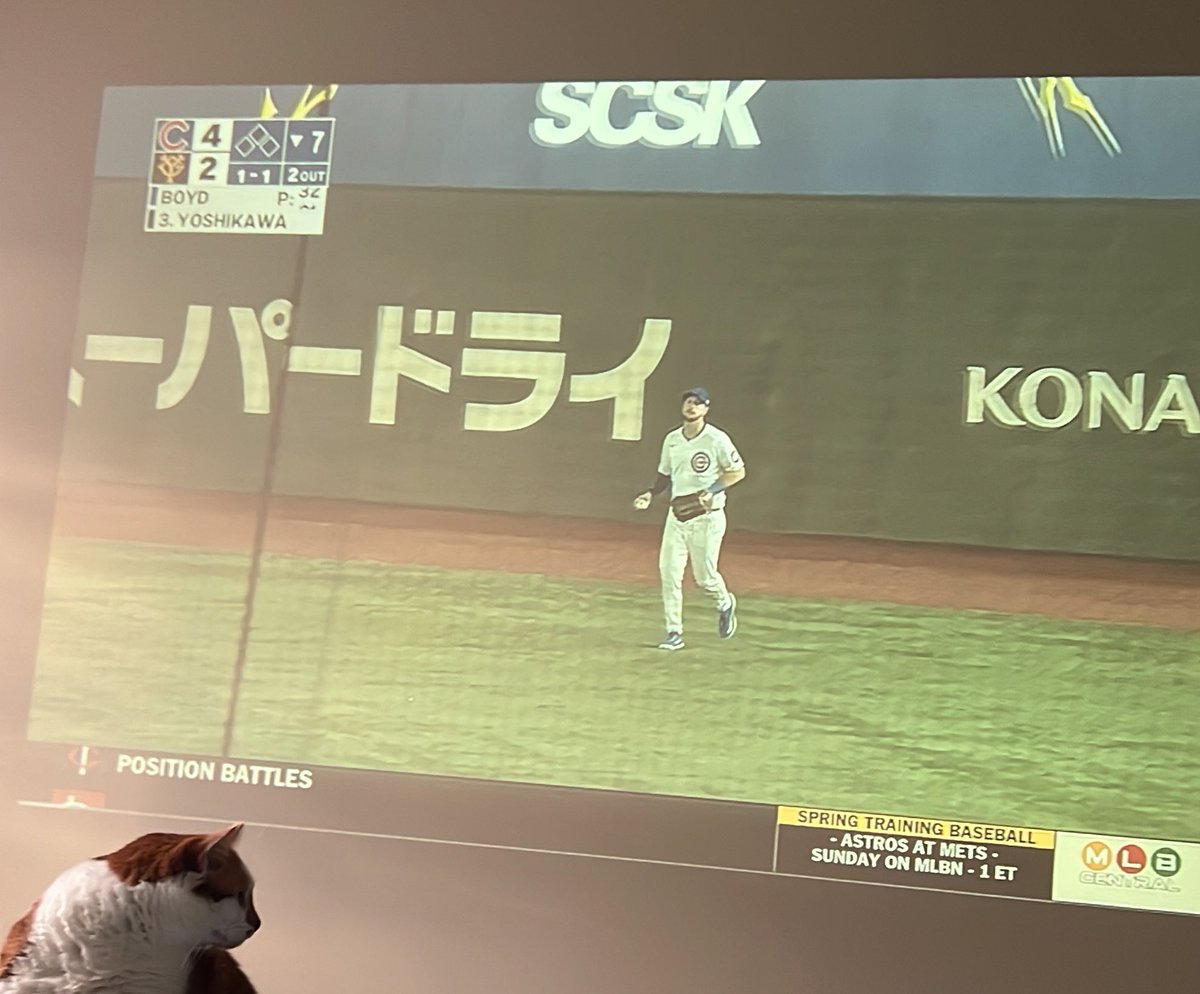 stevensc76's tweet photo. Up early watching the Cubs on the projector with Sweet Caroline 😻. #cubs #GoCubsGo #MarqueeSports #watchmarquee #mlbnetwork ⚾️💙❤️ https://t.co/1ohDBuDWGr