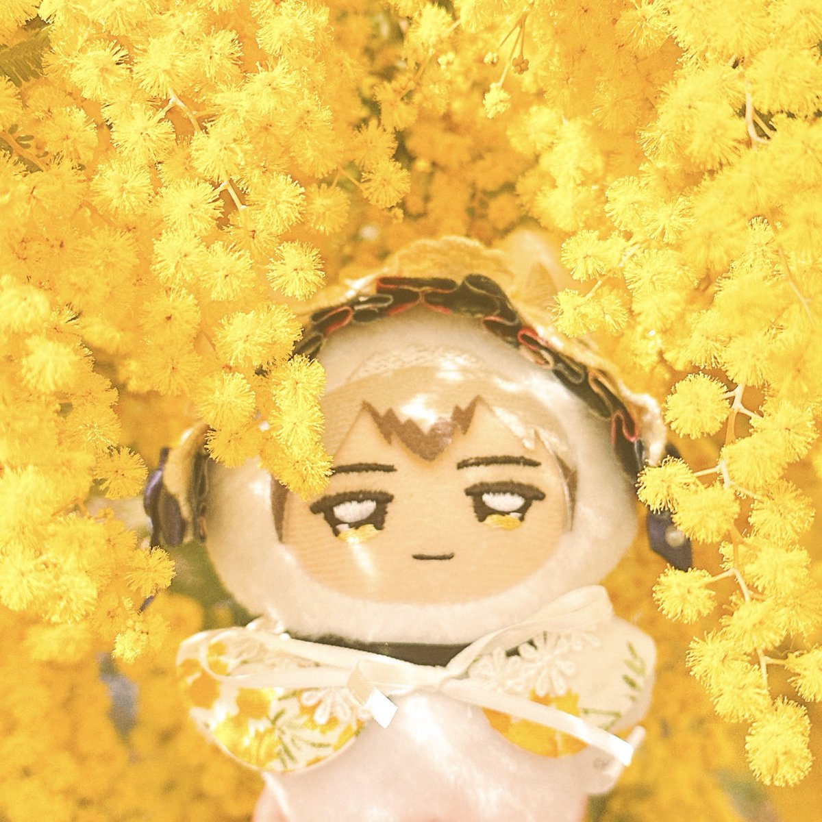 🌾「ちみつむ、どけ、俺が本当の儚げを見せたる」

意外とノリノリなちみきたさん🥺🫶💕