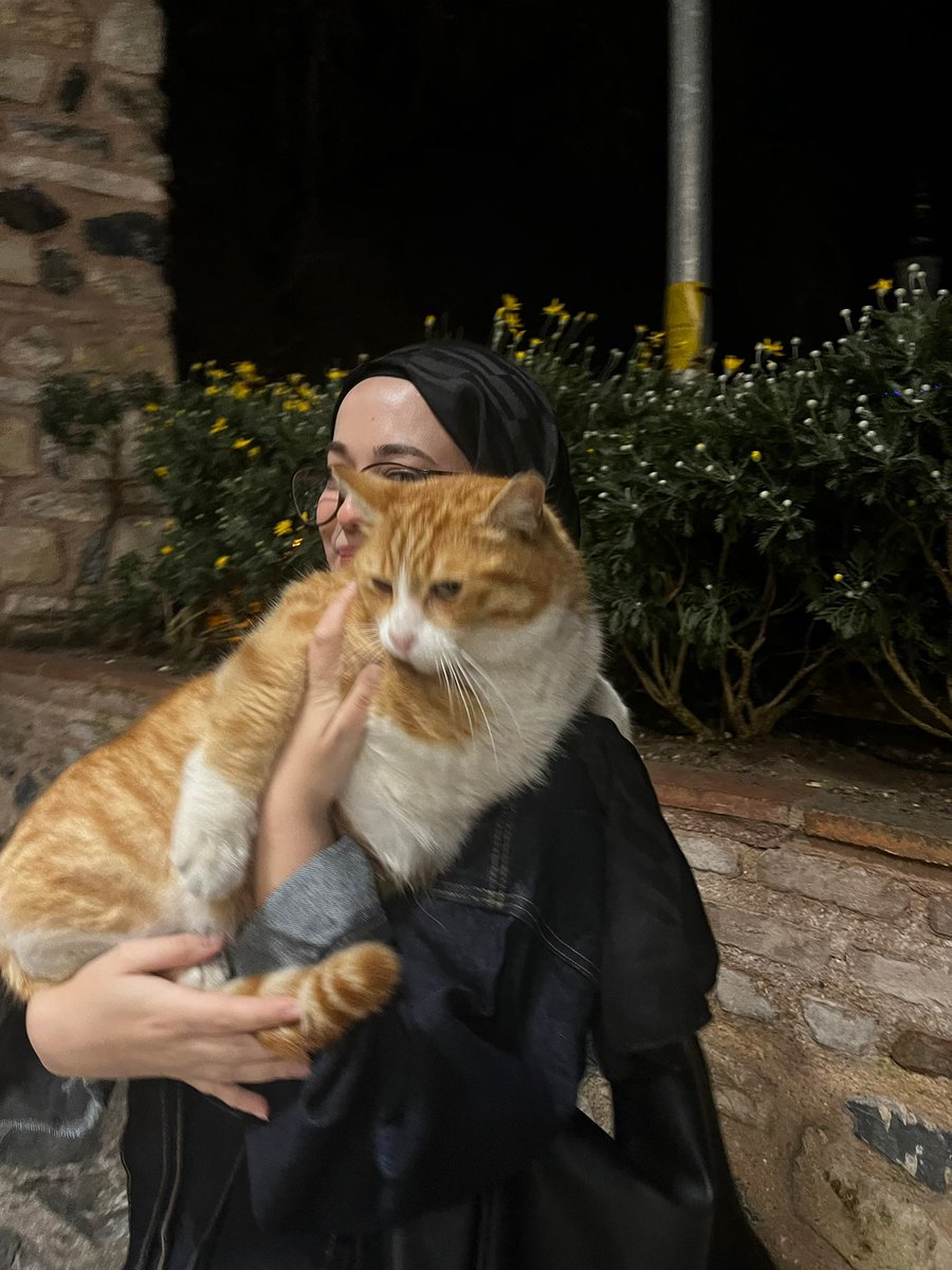 her yahya efendiye gittiğimde beni karşılayan kedi🫠💗