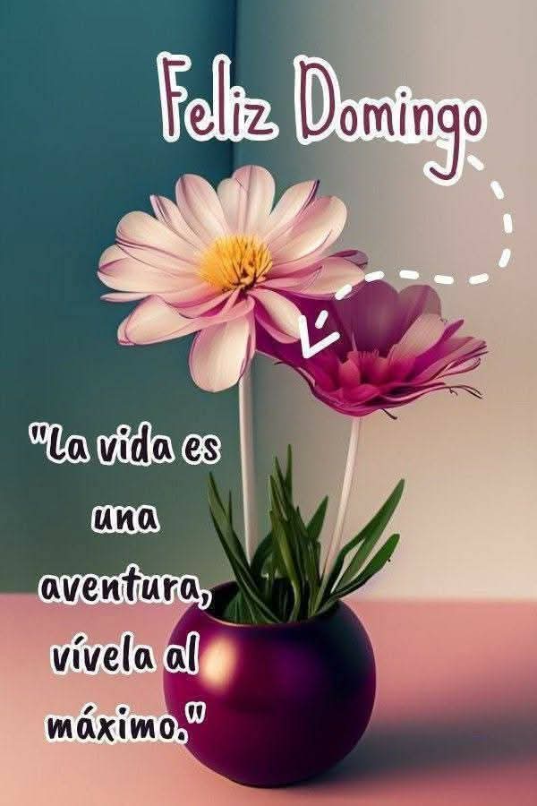 guille_carreon's tweet photo. https://t.co/DkfrWQyxzt