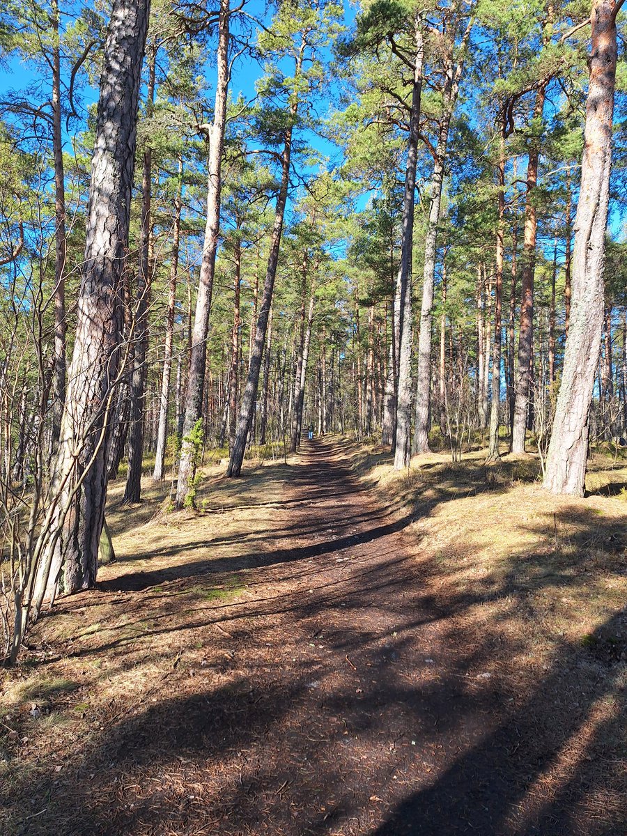 jaanakorppi's tweet image. Savolaisille ja muillekin Punkaharjun ikävään. Tahvonniemen luonnonsuojelualue Stansvikissa on Helsingin ainut ehyt harju. Kärjessä oli tänään kalastajia ja länsipuolella on tulipaikka (omat briketit/puut mukaan). Aikas ihanat maisemat.  #menovinkki