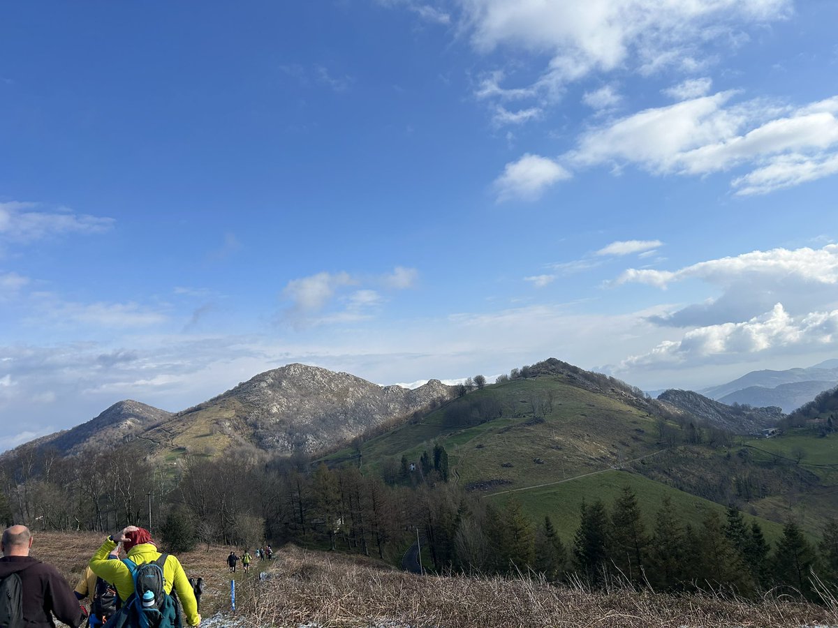 jm sanchez tweet media