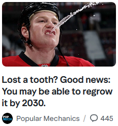 ryguy40's tweet photo. Mayhap, best article pic ever 💯 https://t.co/4qkM7b3i12