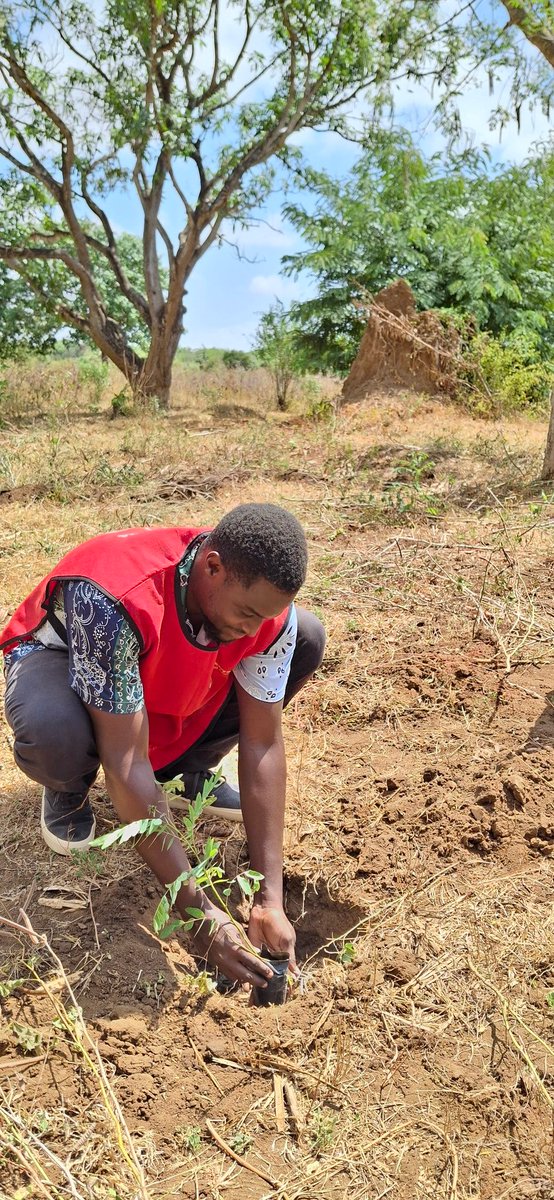 allyhusseinm's tweet photo. On Friday @KenyaRedCross Kilifi Branch successfully planted 60 seedlings to mark 60 years of KRCS's dedicated services to humanity with @kenyaprisons at Malindi Main Prison. 
The team also provided Mental Health talk sessions and a Medical Outreach to the inmates.
#KRCSat60 https://t.co/oy3CkXjjZ1