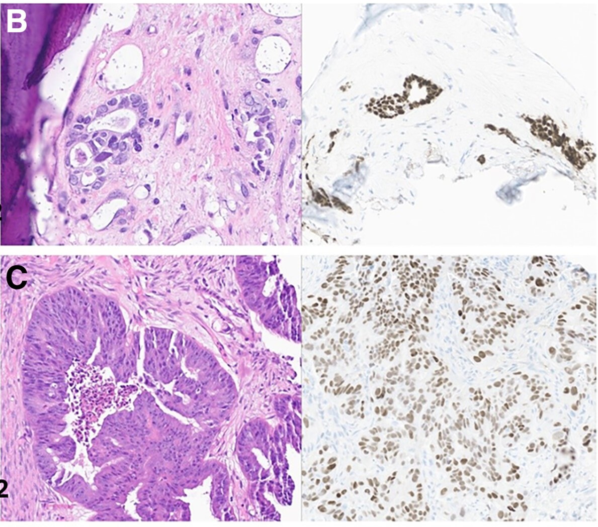 ACR_Journals tweet media