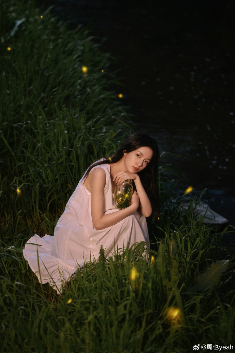 Magnolia. tweet media