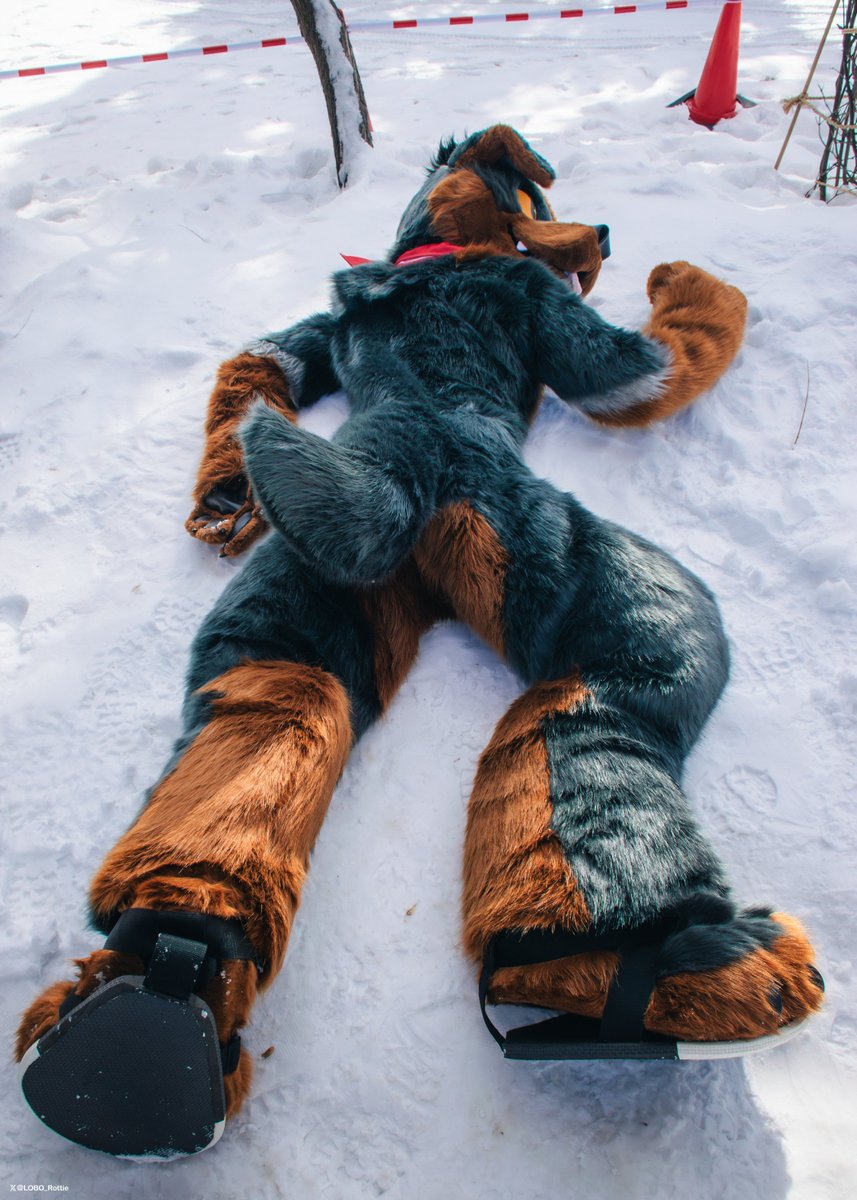 🐶☠️

📷<a href="/kannuk_helicop/">努克／Kannuk➡️二足歩行TwinTrails</a>