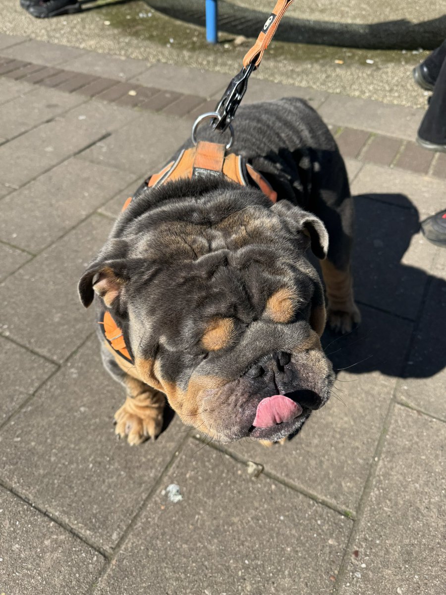 John Harvey 💜 🇺🇦 tweet media