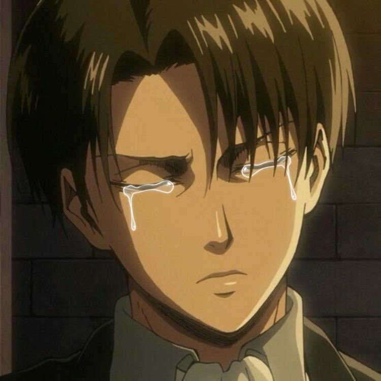 dorlghfoddl7246's tweet photo. https://t.co/cKAHlMAfXe