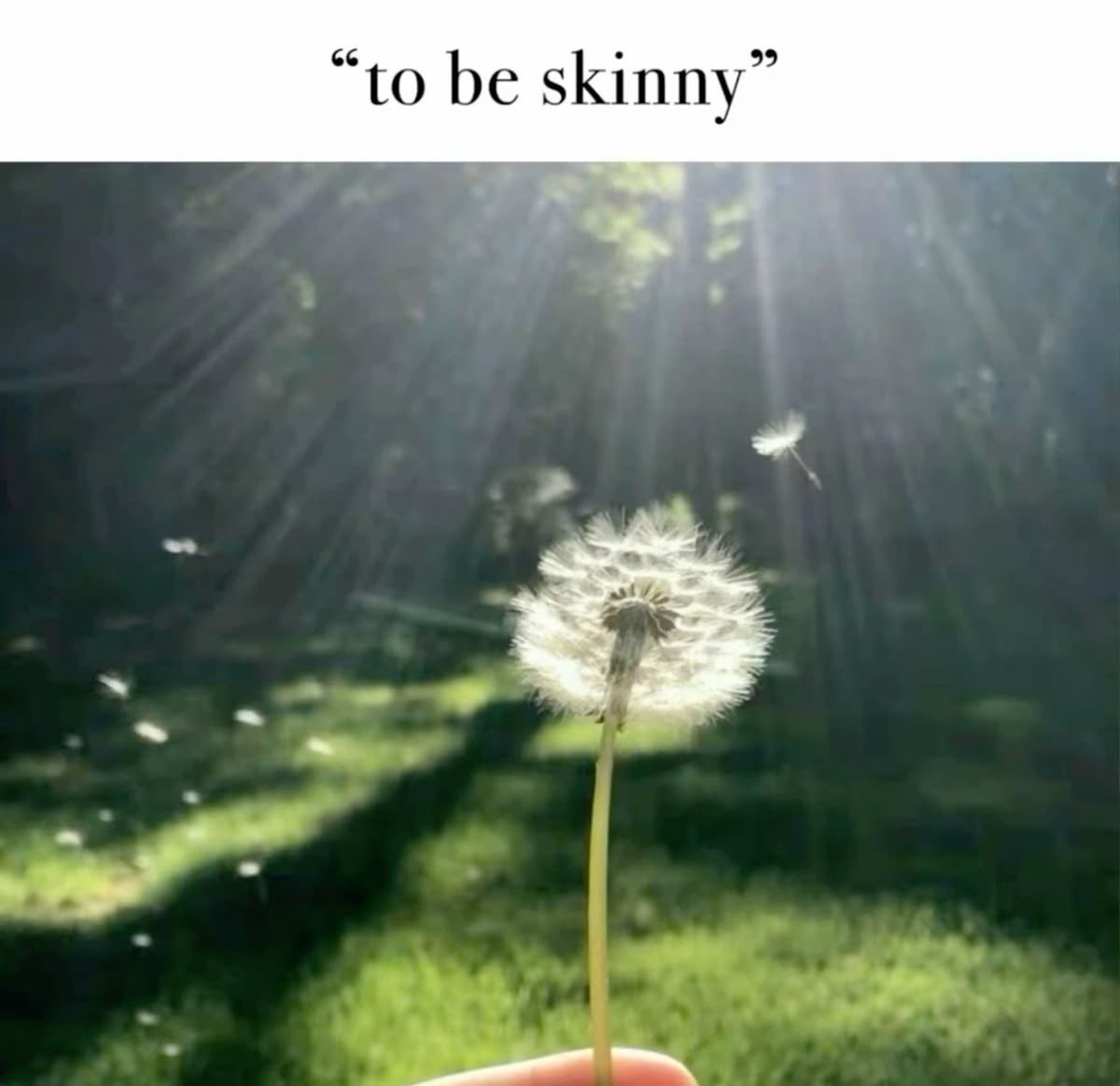 🫧