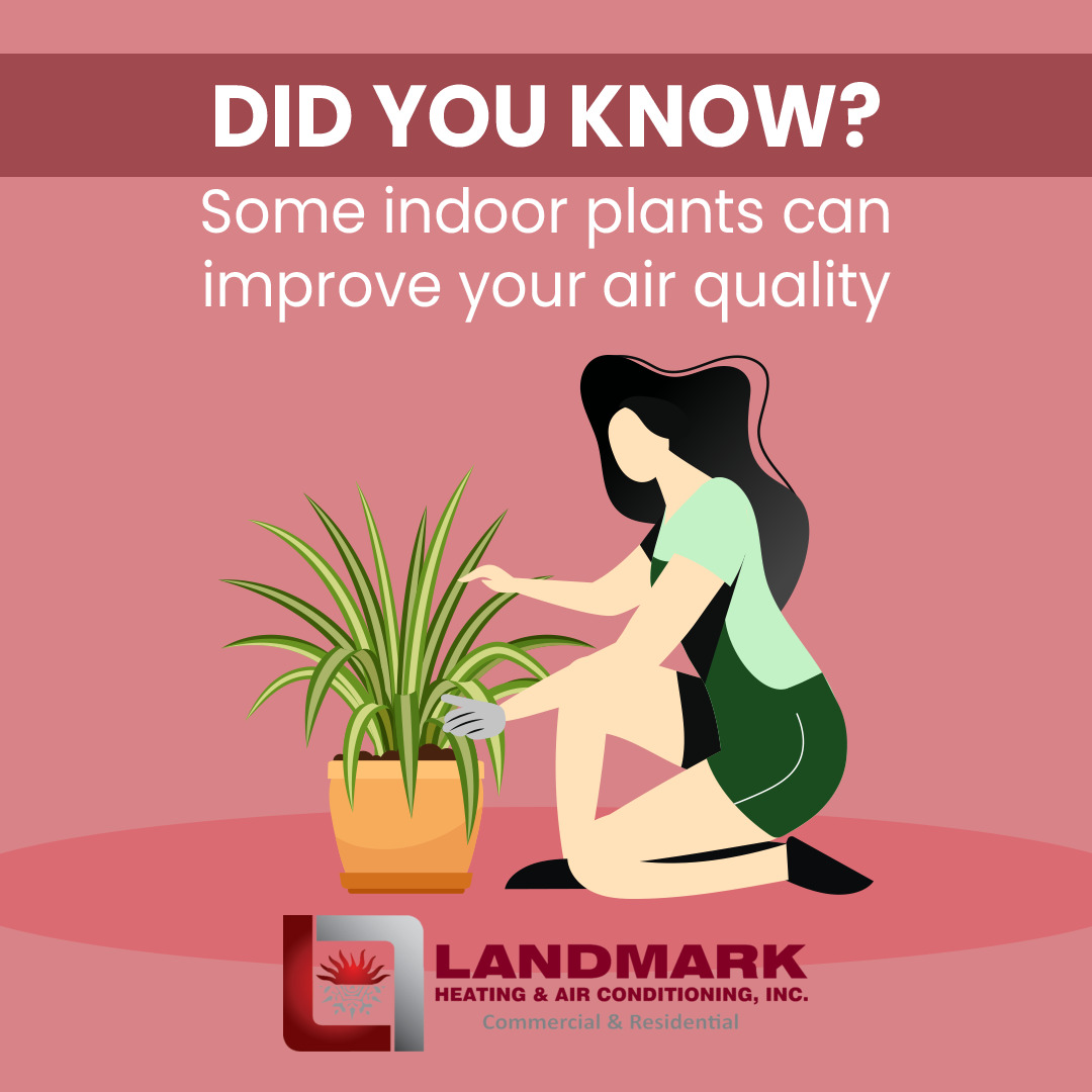 Landmark Heating tweet media