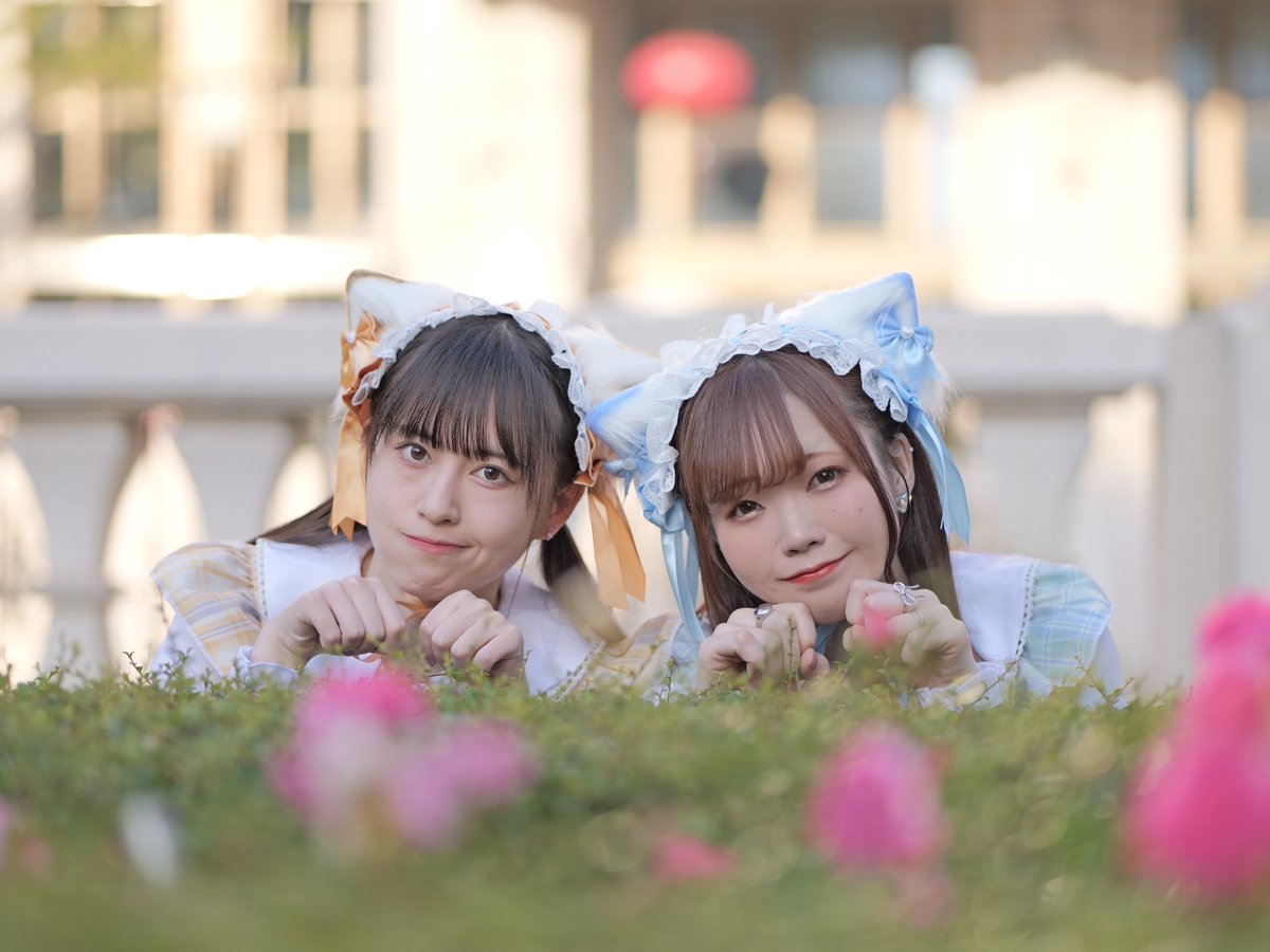 a_shiba3o's tweet image. さわ袖♡♡