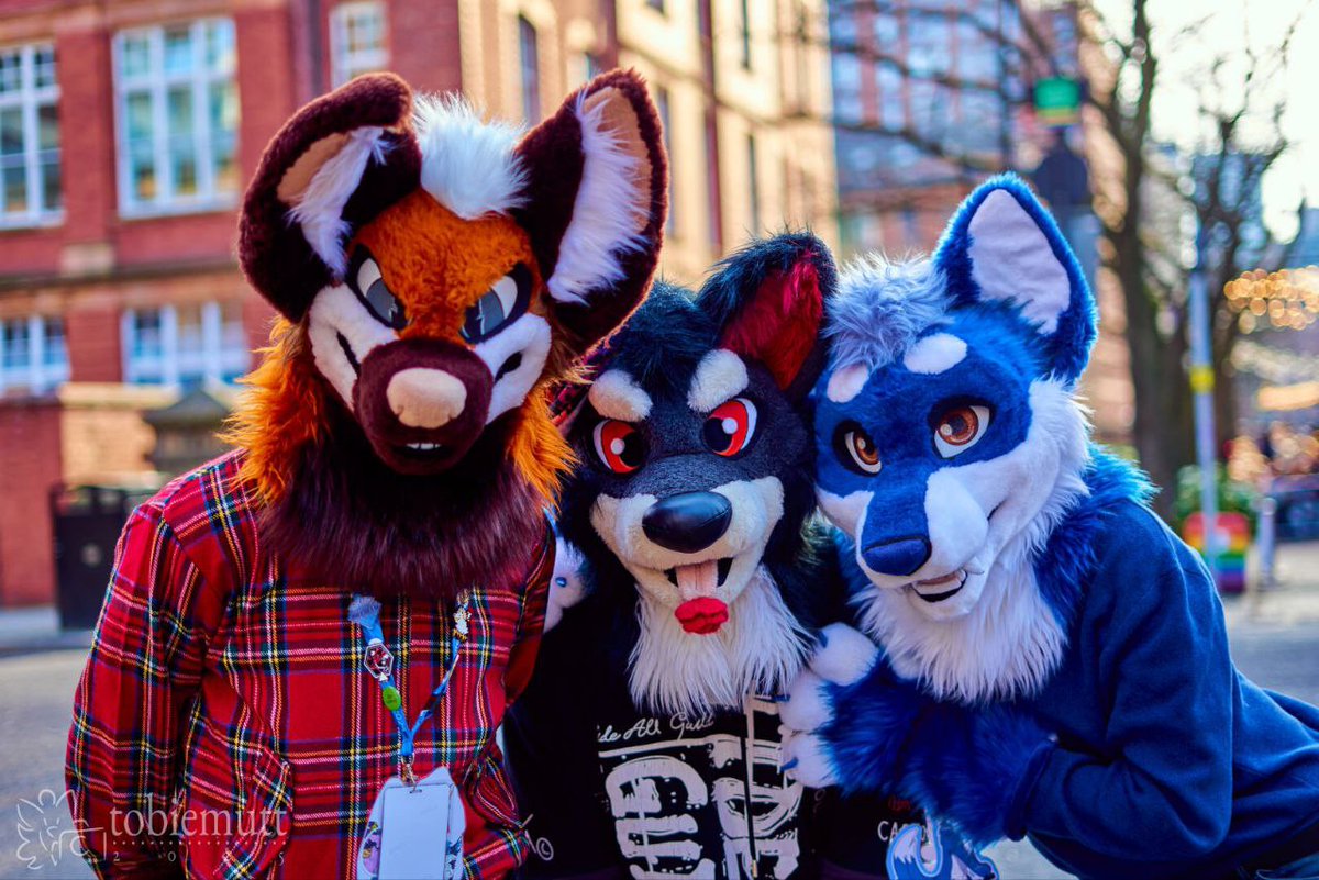 πΊπ Lapis Wolfe ππΊ (@lapiswolfe) on Twitter photo I like booooys~ ππ
Featuring:
<a href="/chaoticwuff/">Vis π ???</a>
<a href="/afurryhusky/">Aurora!</a>
πΈ: <a href="/tobiemutt/">tobiemutt.co.uk π¦</a>
π: <a href="/MancFurs/">MancFurs</a>
#furry #furries #furryfandom #furrycommunity #fursuit #fursuiting #FursuitEveryday I like booooys~ ππ
Featuring:
<a href="/chaoticwuff/">Vis π ???</a>
<a href="/afurryhusky/">Aurora!</a>
πΈ: <a href="/tobiemutt/">tobiemutt.co.uk π¦</a>
π: <a href="/MancFurs/">MancFurs</a>
#furry #furries #furryfandom #furrycommunity #fursuit #fursuiting #FursuitEveryday