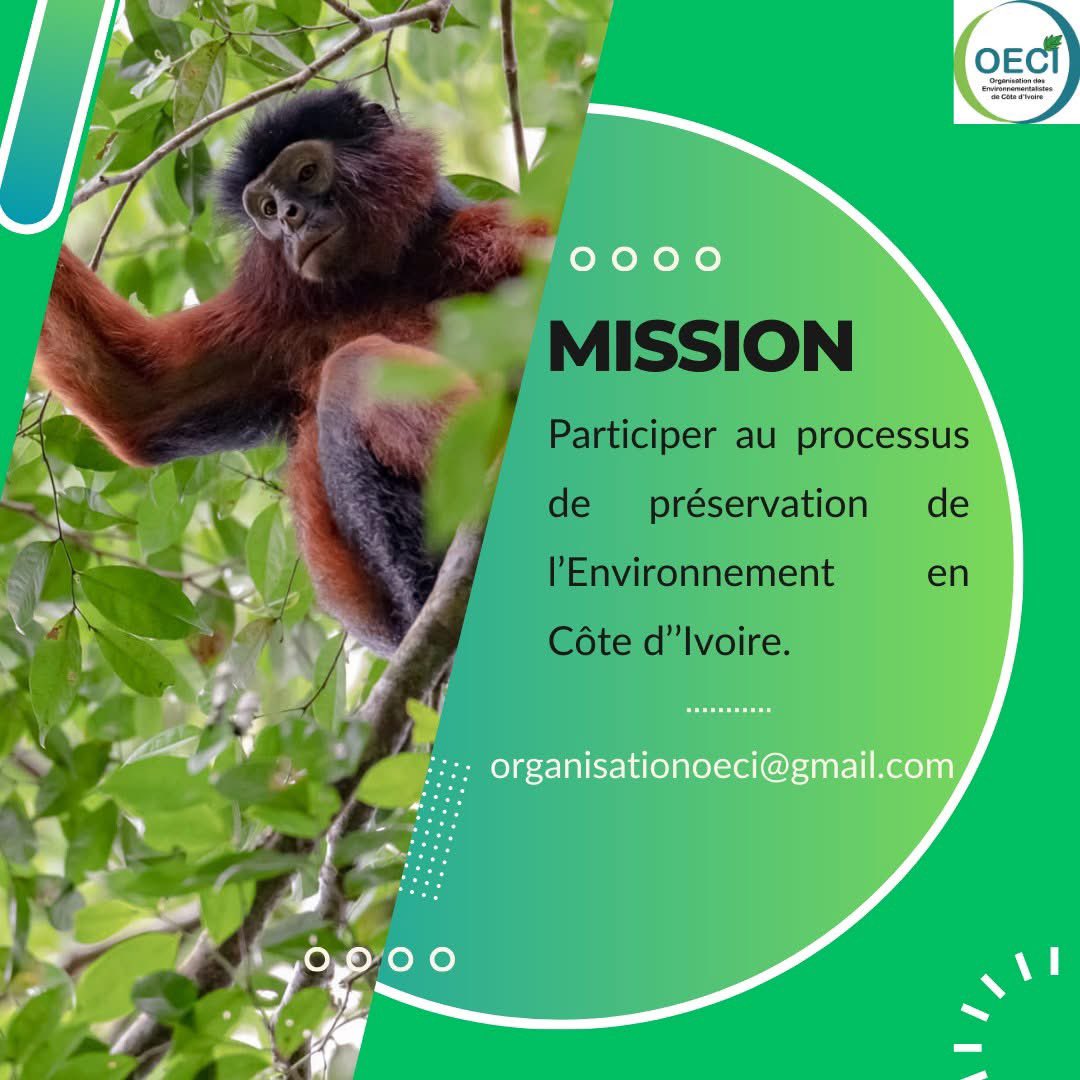 ONG OECI 🇨🇮 tweet media