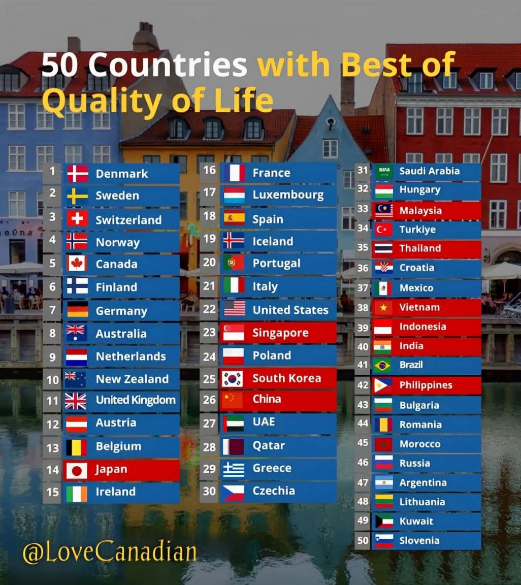 peggy cd she/her🇨🇦 (🧡ally 🏳️‍🌈ally)🇺🇦 tweet media