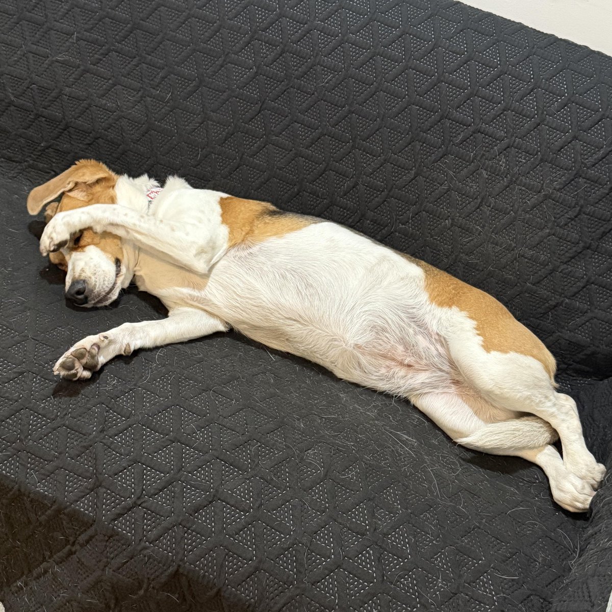 GM, who turned the lights on?