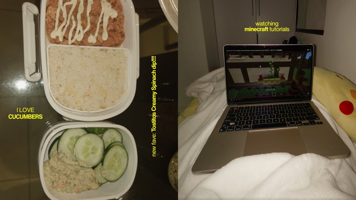 MATCHALOGS's tweet photo. first two weeks of march '25 🍏 — current favorites: tostitos, minecraft, cucumbers, late nights, relationship by haim! https://t.co/CXl5KKStg5